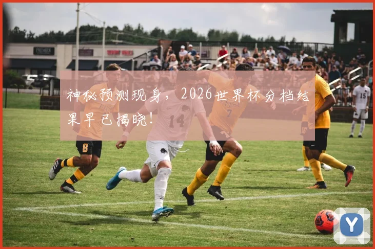 神秘预测现身,2026世界杯分档结果早已揭晓!